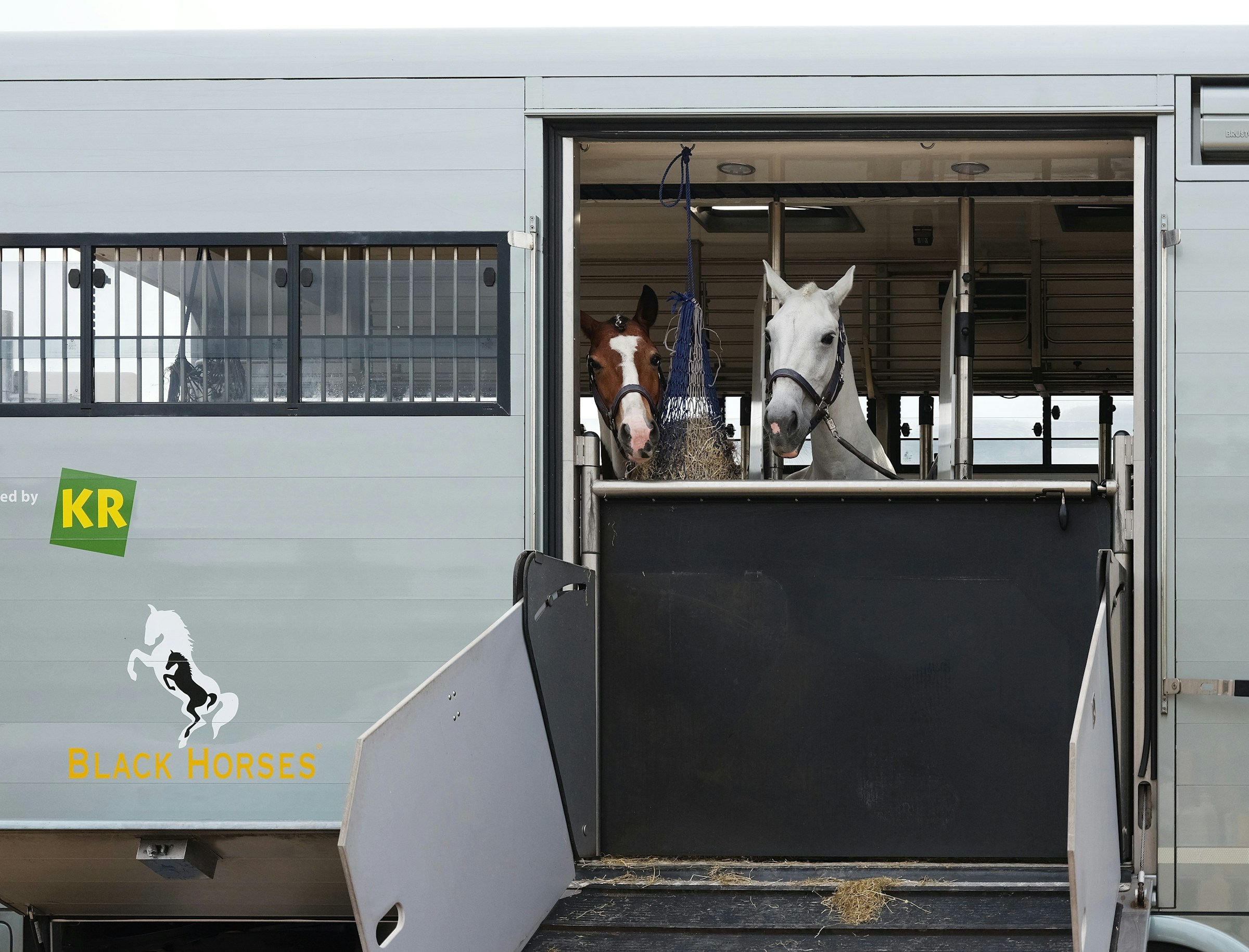 camion chevaux