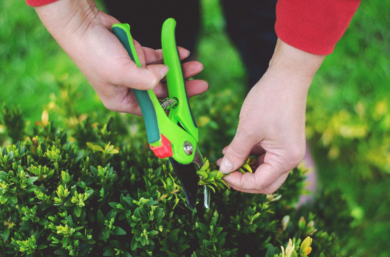 Christophe Amouroux pour entretenir votre jardin